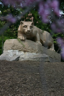 psutally1a003006.jpg